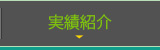 実績紹介